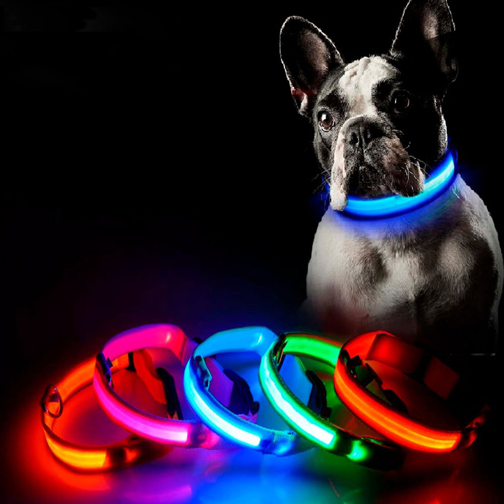 COLLAR PARA PERROS LED AMARILLO TALLA M - 1