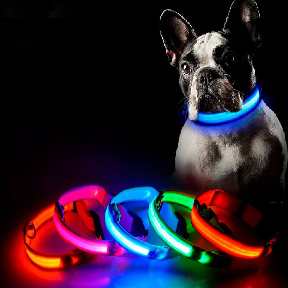 COLLAR LED PARA PERROS ROJO TALLA L - 1