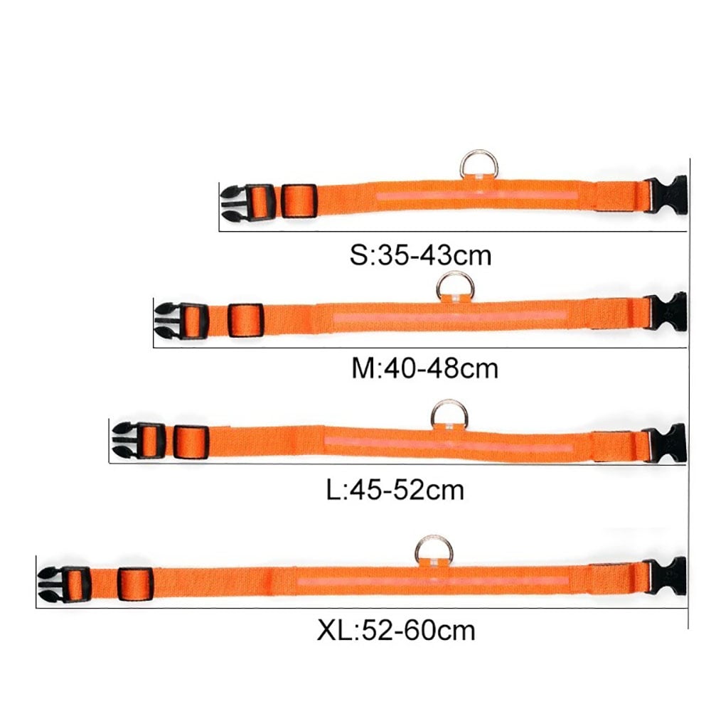 COLLAR LED PARA PERROS ROJO TALLA L - 2