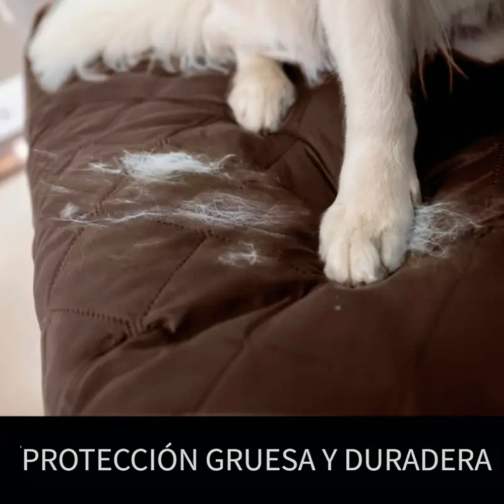 FUNDA PERROS Y GATOS QUE PATAS PET SHOP PARA MUEBLES DE 3 PERSONAS COLOR GRIS - 3