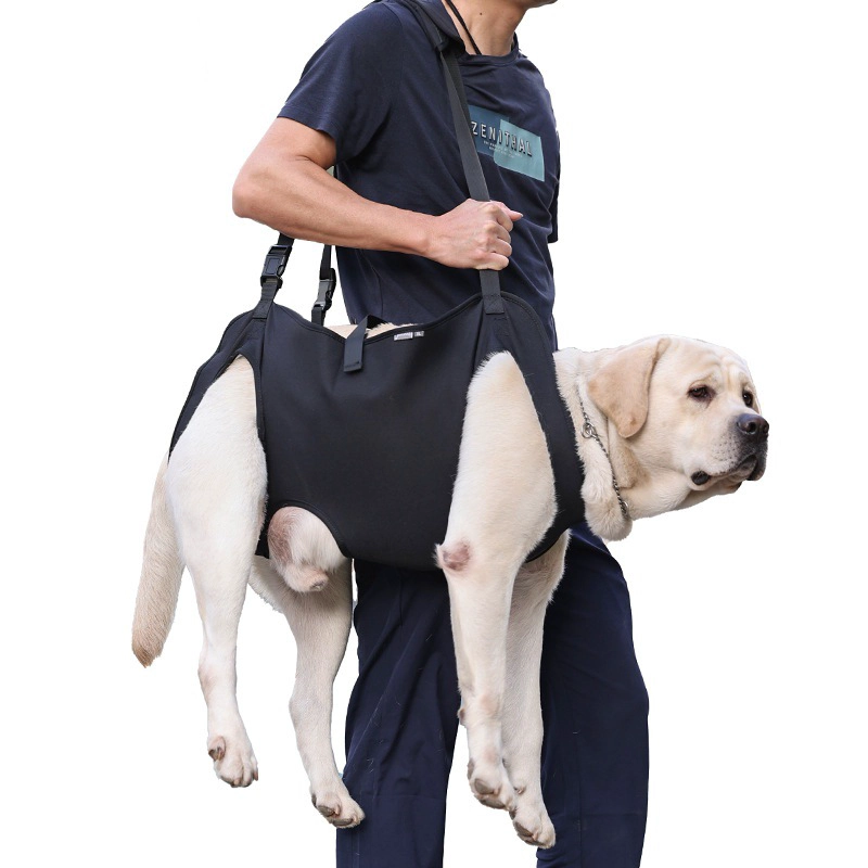 ARNÉS PERROS GRANDES QUE PATAS PET SHOP ELEVACIÓN - 2