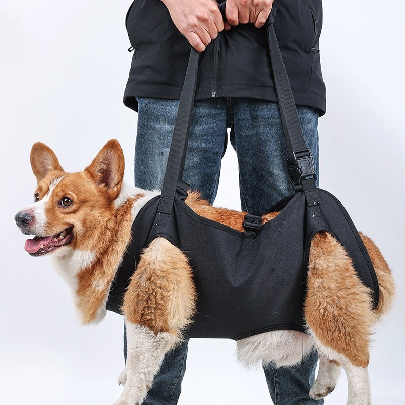 ARNÉS PERROS GRANDES QUE PATAS PET SHOP ELEVACIÓN - 3