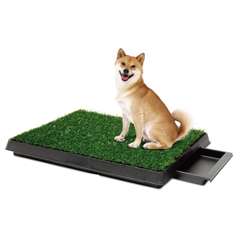 BAÑO PARA PERROS GRANDES - 1