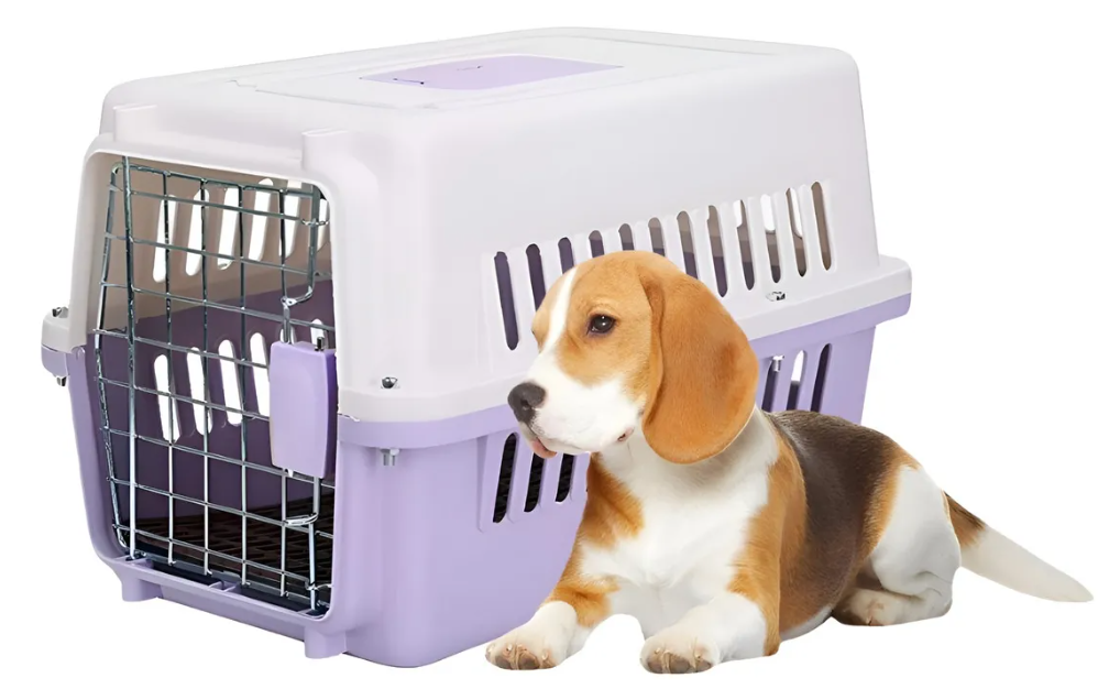TRANSPORTADOR KENNEL DE VIAJE TALLA S MORADO - 2
