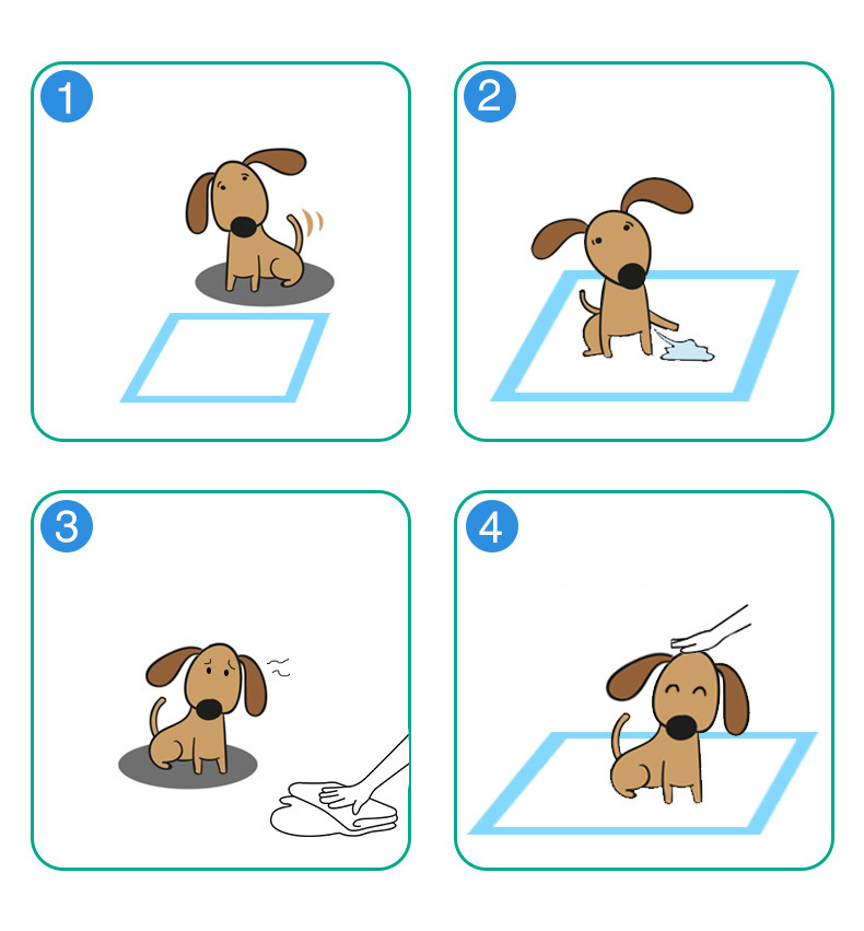 PACK X2 PAÑOS ENTRENAMIENTO PERRO PAÑALES PACK TALLA M - 3