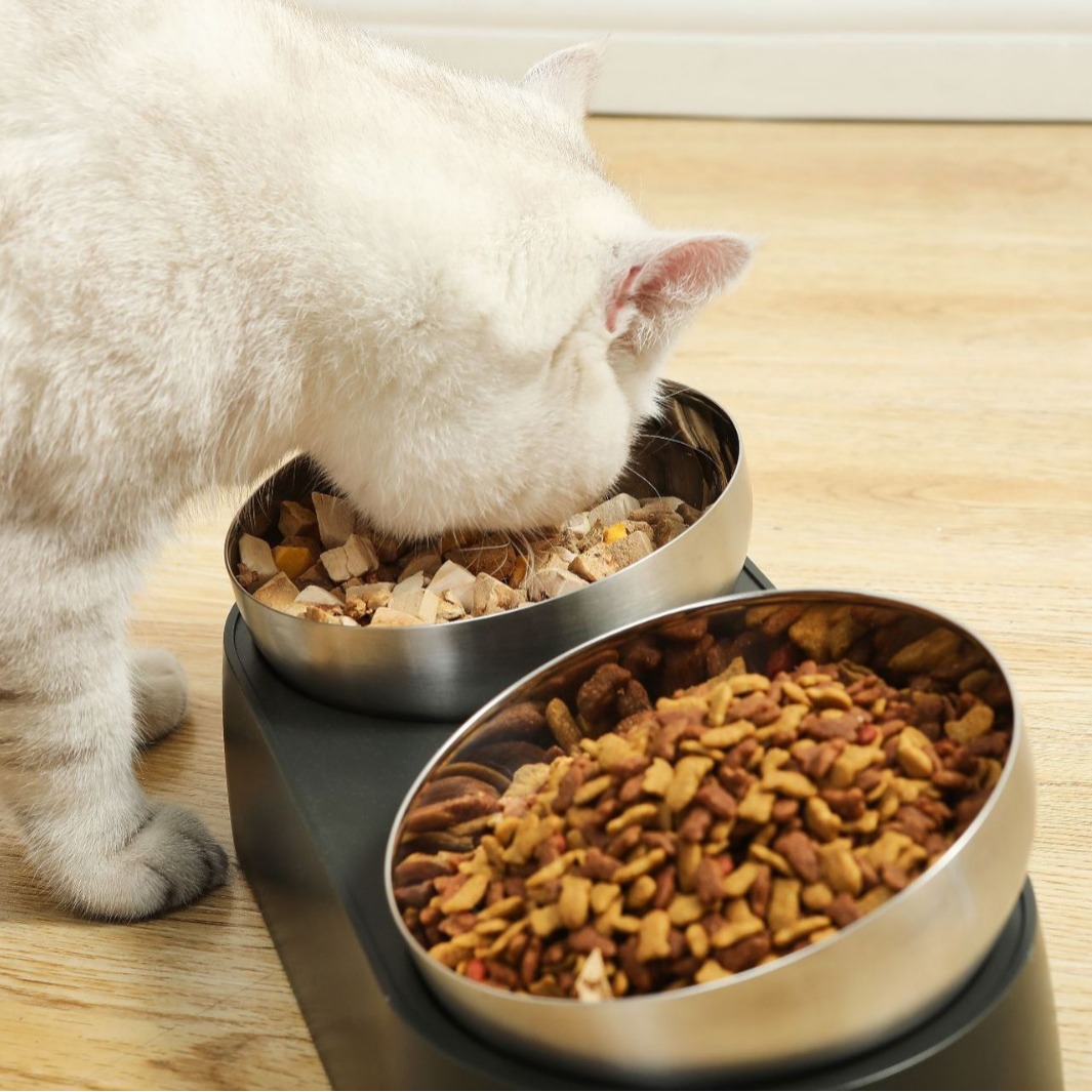 DOBLE BOWLS DE ACERO INOXIDABLE PARA MASCOTAS - 2