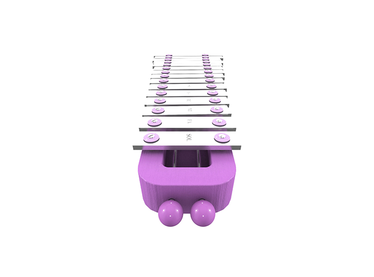 XILÓFONO 2 OCTAVAS FUCSIA MÁS FUNDA - 4