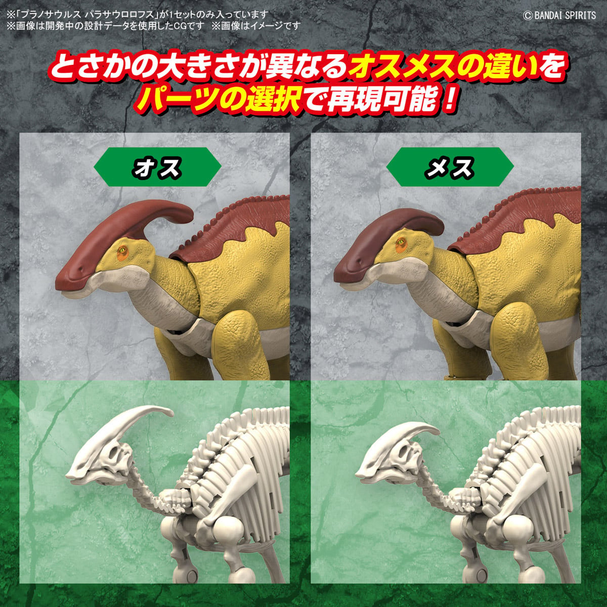 BANDAI MODEL KITS DE PARASAUROLOPHUS (MAQUETAS) - 4