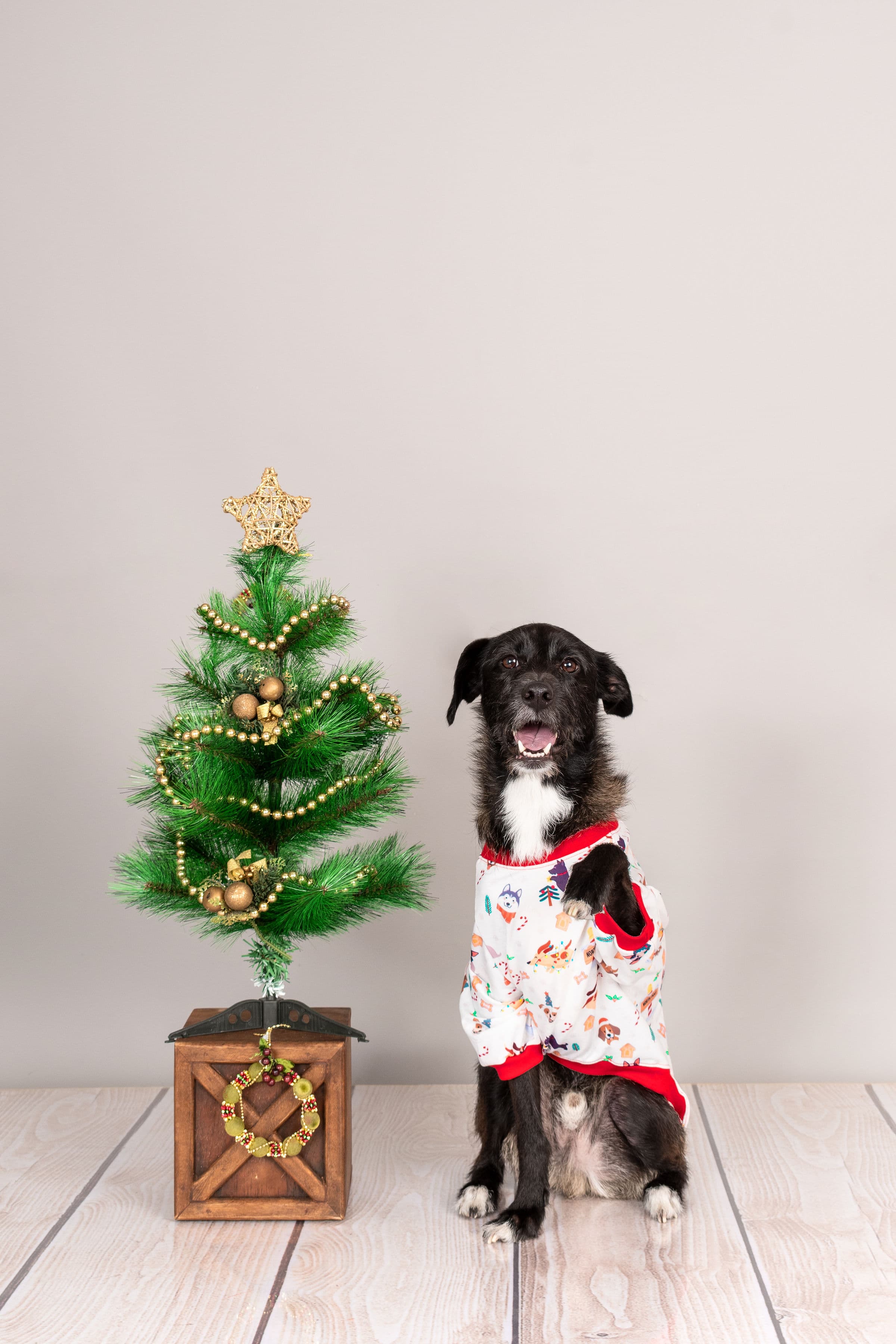 POLERA ALGODÓN PERRO Y GATO HAPPY XMAS WOOF TALLA 4 LETIF PET SHOP - 2