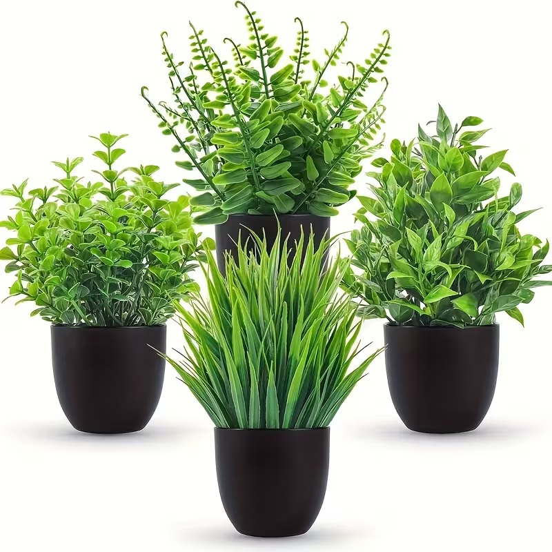 PACK 4 PLANTAS CON MACETA DECORACIÓN INTERIORES MODELO NUEVO - 1