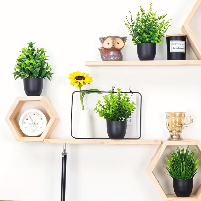 PACK 4 PLANTAS CON MACETA DECORACIÓN INTERIORES MODELO NUEVO - 3
