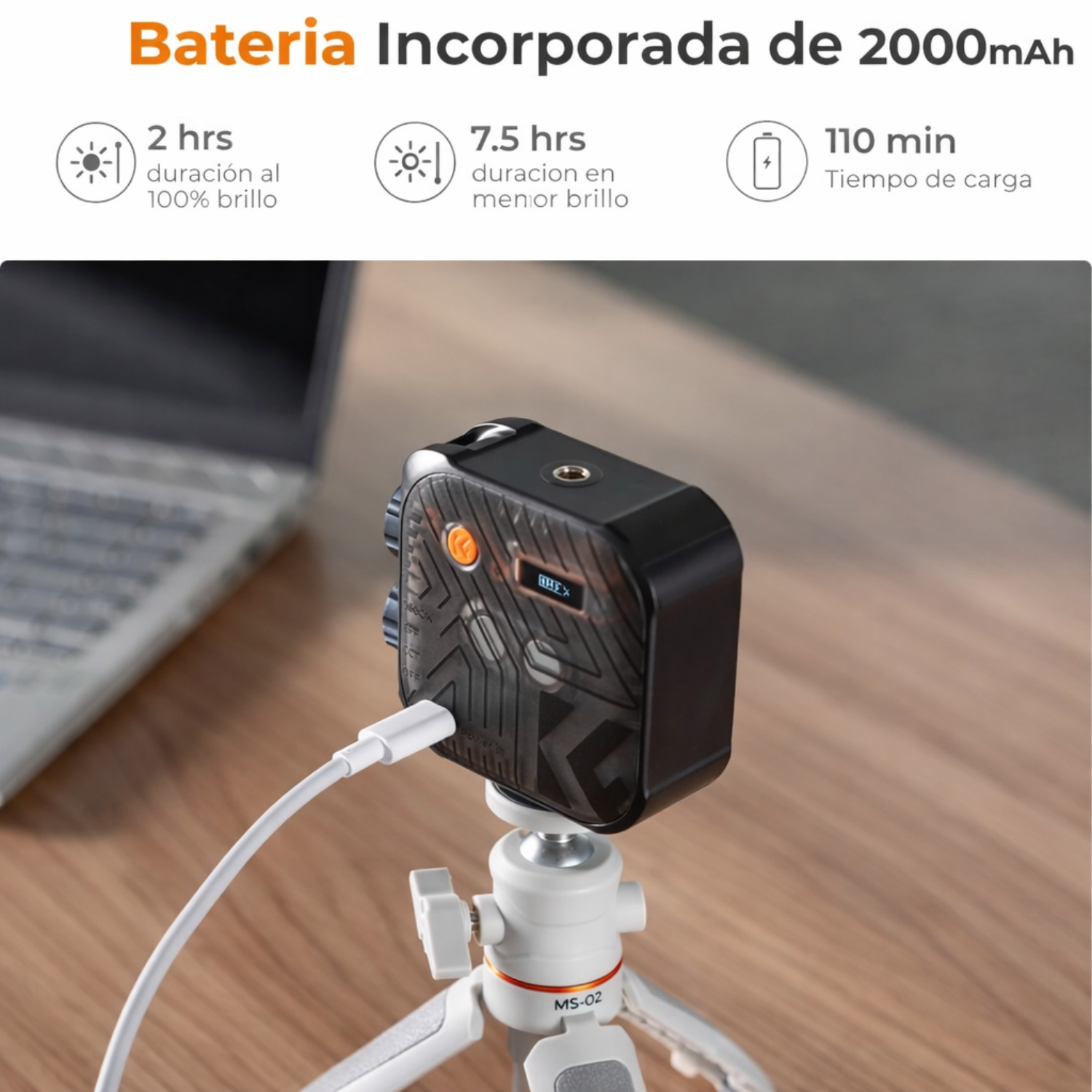 LUZ CONTINUA LED BICOLOR KYF CONCEPT KF34.035 - 5