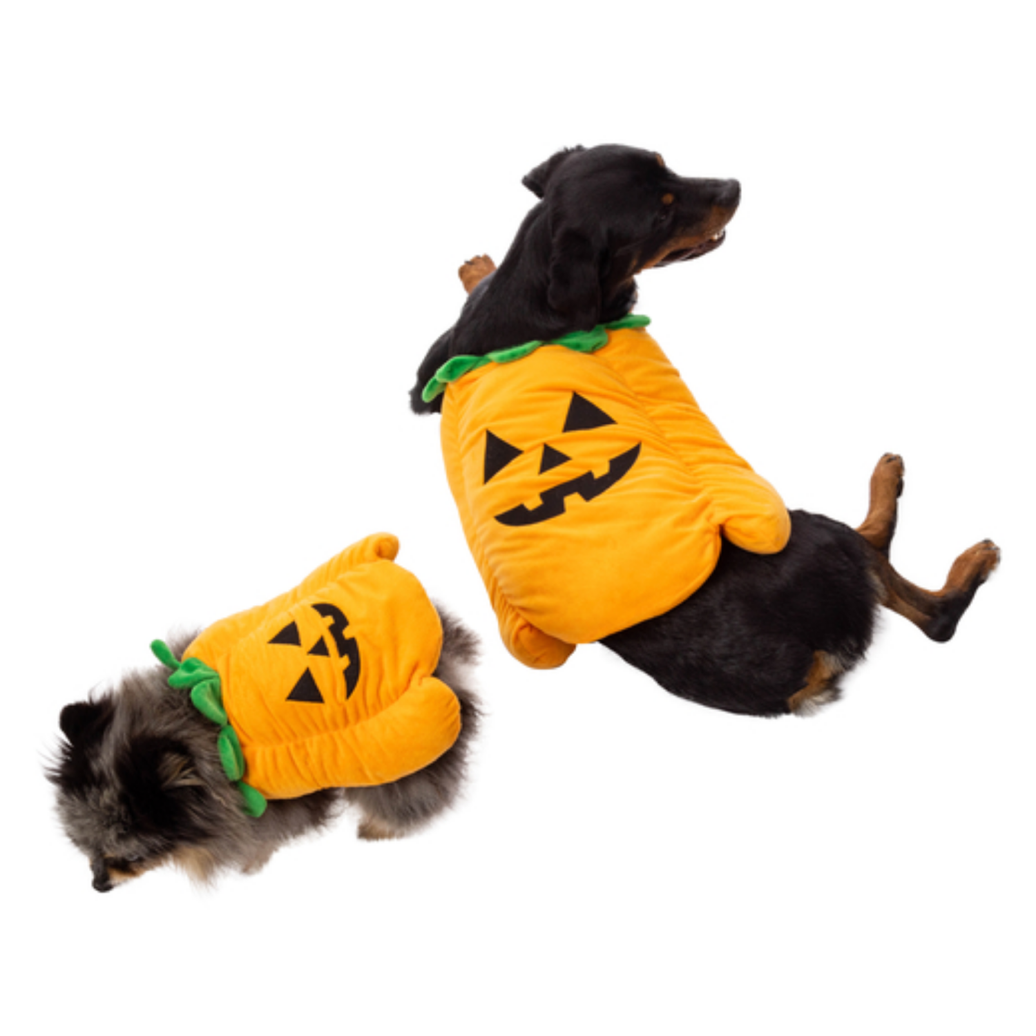 DISFRAZ PERRO PET-PUMPKIN SUPETMARKET CALABAZA HALLOWEEN - 1