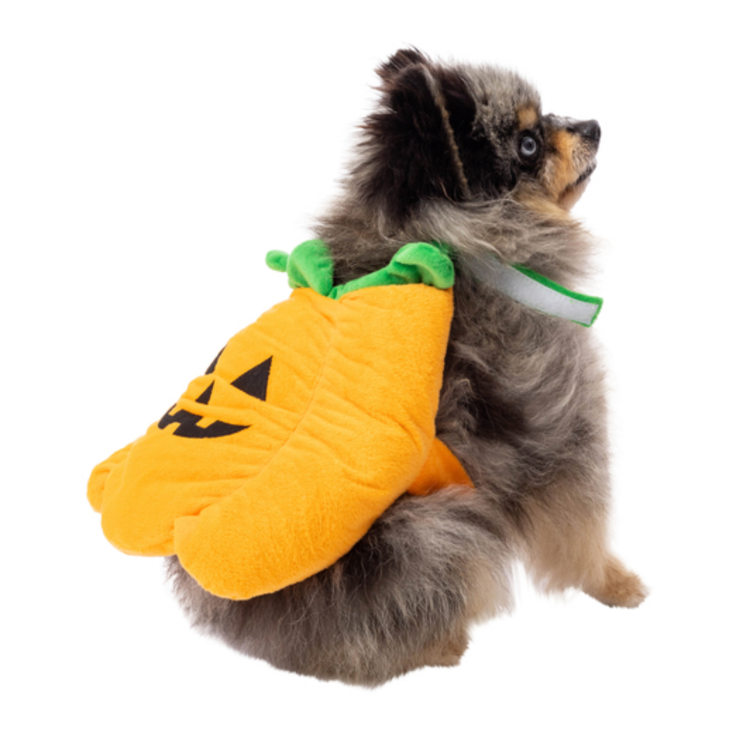 DISFRAZ PERRO PET-PUMPKIN SUPETMARKET CALABAZA HALLOWEEN - 5