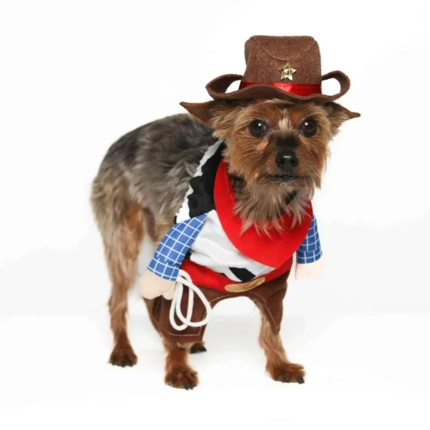 DISFRAZ ALGODÓN PERRO COWBOY SUPETMARKET - 4