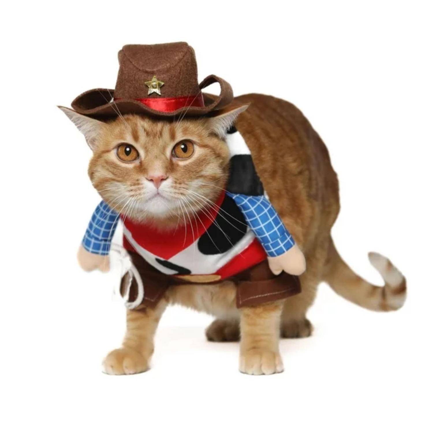 DISFRAZ ALGODÓN PERRO COWBOY SUPETMARKET - 5