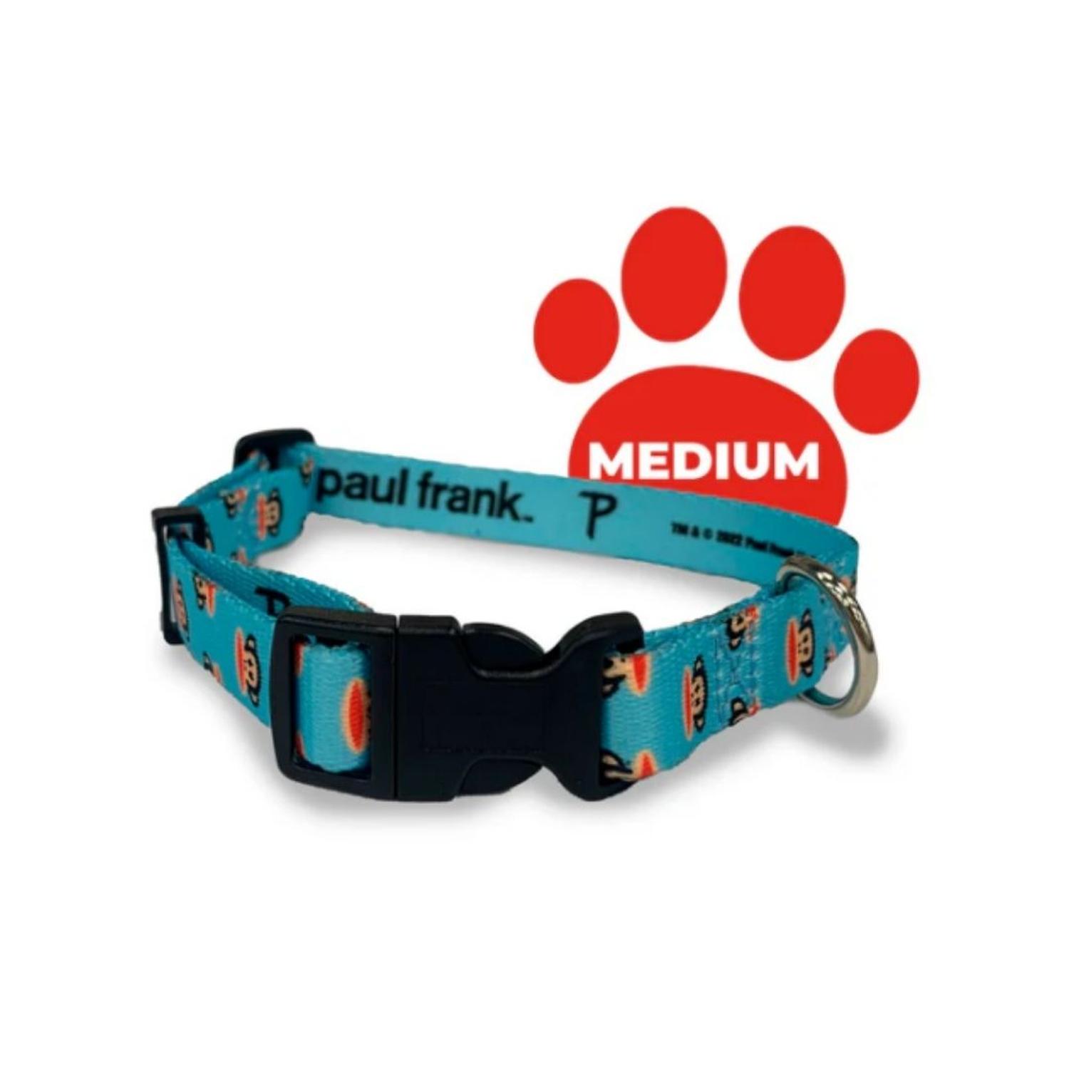 COLLAR PERROS PAUL FRANK AJUSTABLE JULIUS - 3