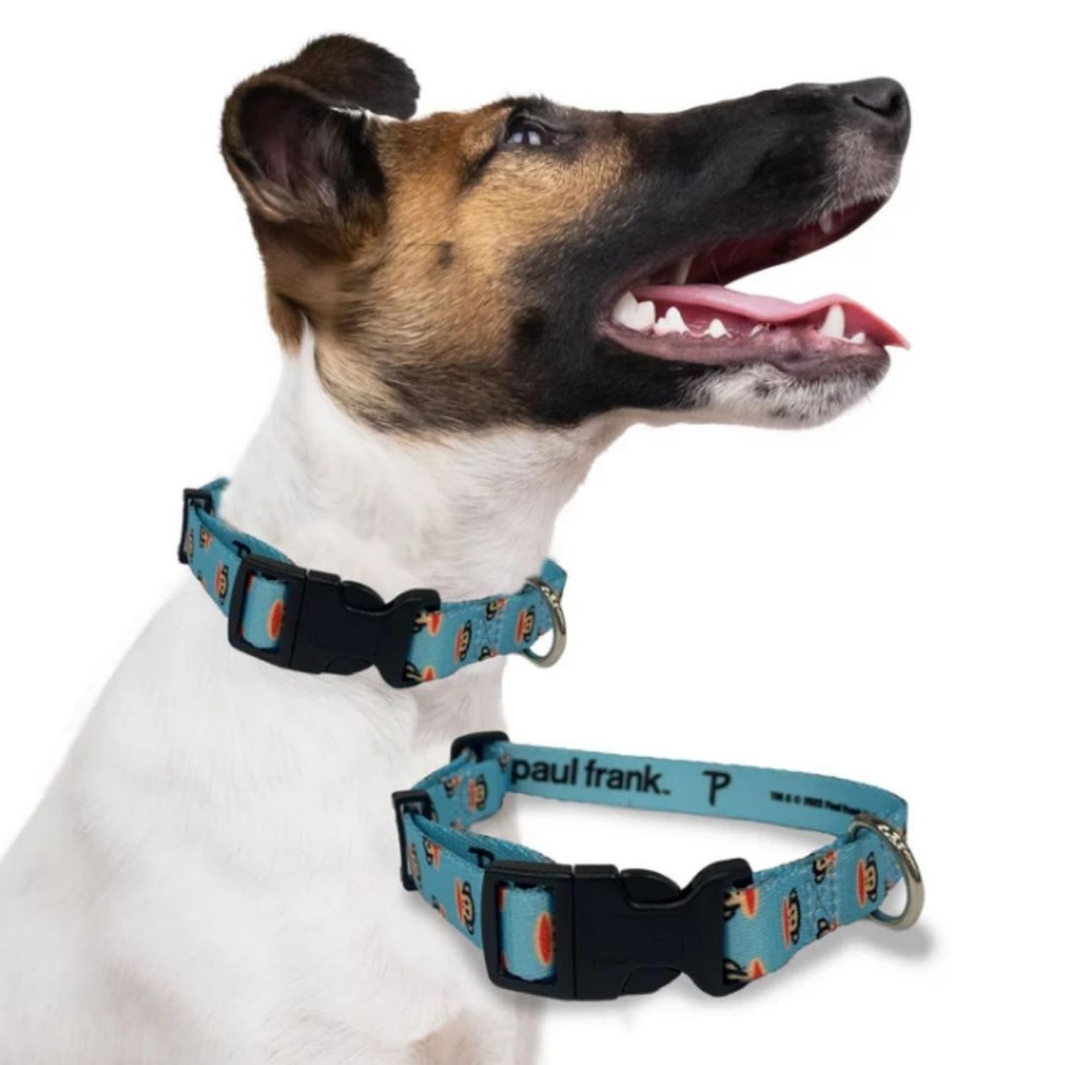 COLLAR PERROS PAUL FRANK AJUSTABLE JULIUS - 6