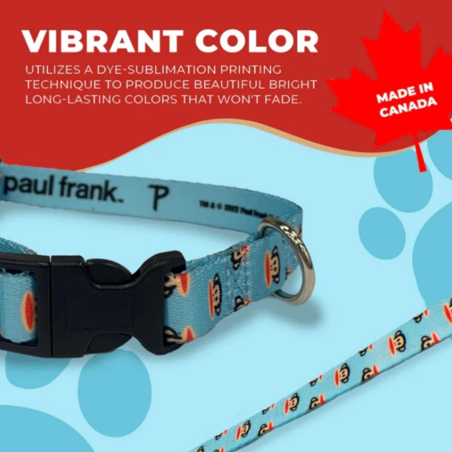 COLLAR PERROS PAUL FRANK AJUSTABLE JULIUS - 7