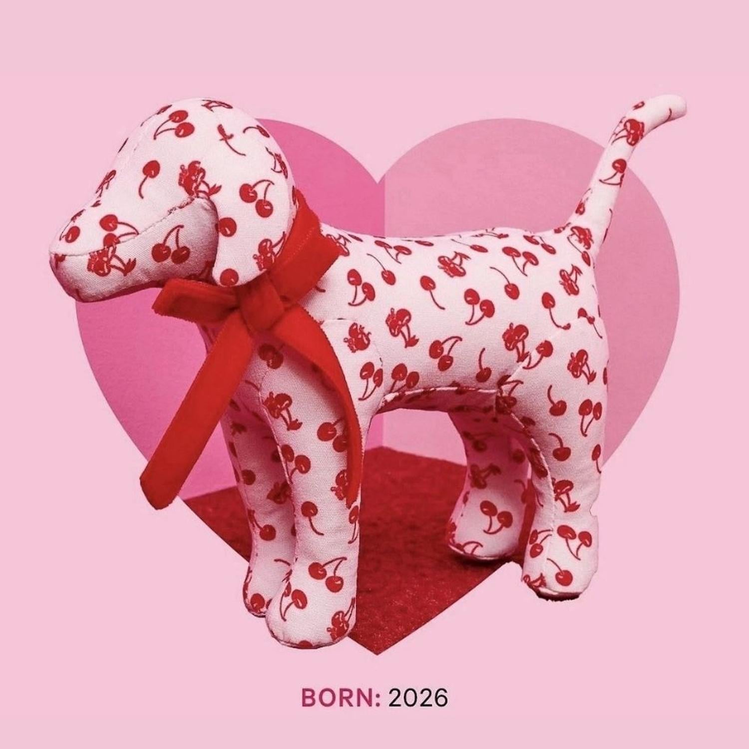 MINI PERRO DE PELUCHE VICTORIA'S SECRET PINK GALENTINE - 2