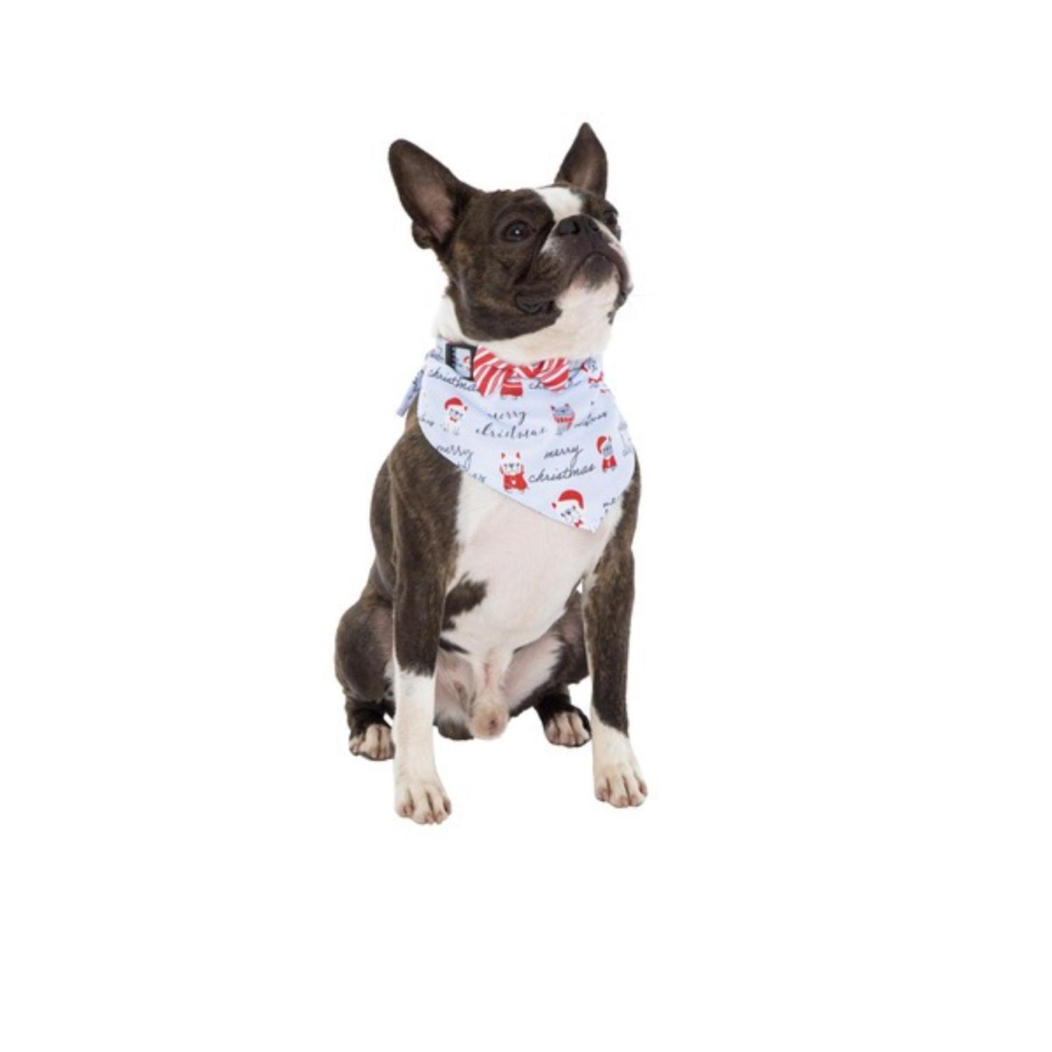 SET COLLAR CON MOÑO Y BADANA PARA PERRO - NAVIDEÑO - 2
