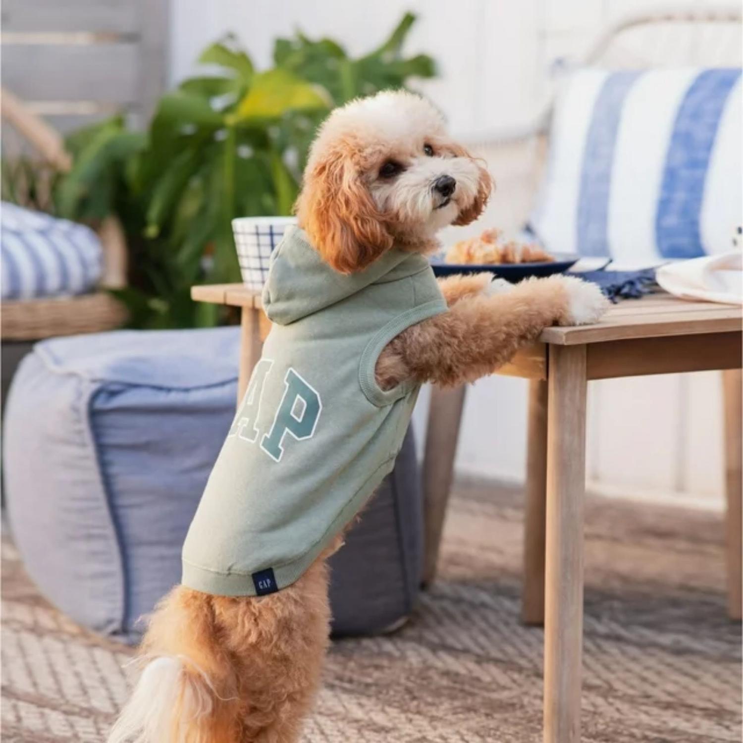 POLO CON CAPUCHA PARA PERRO GAP - VERDE - 1