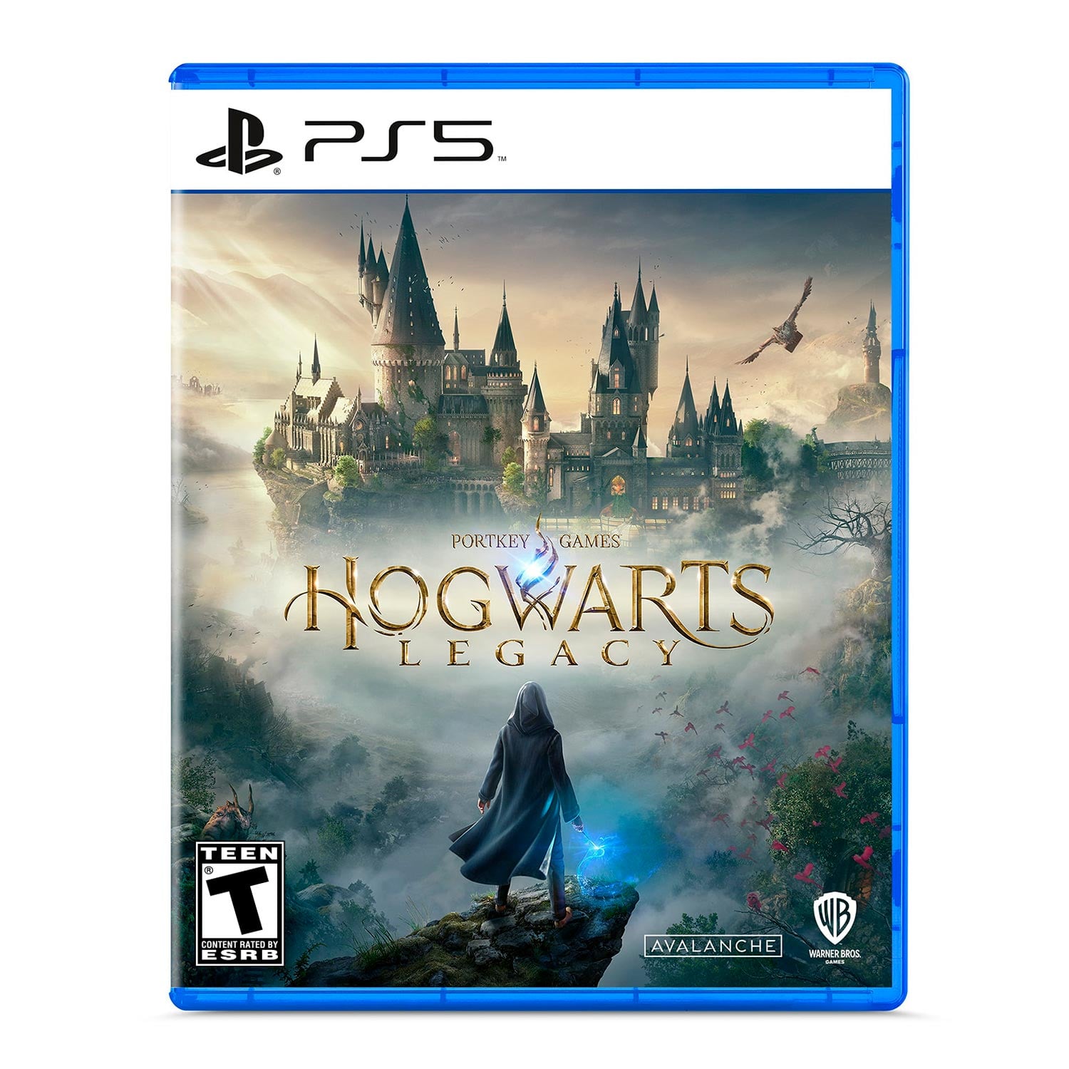 HOGWARTS LEGACY PLAYSTATION 5 LATAM - 1