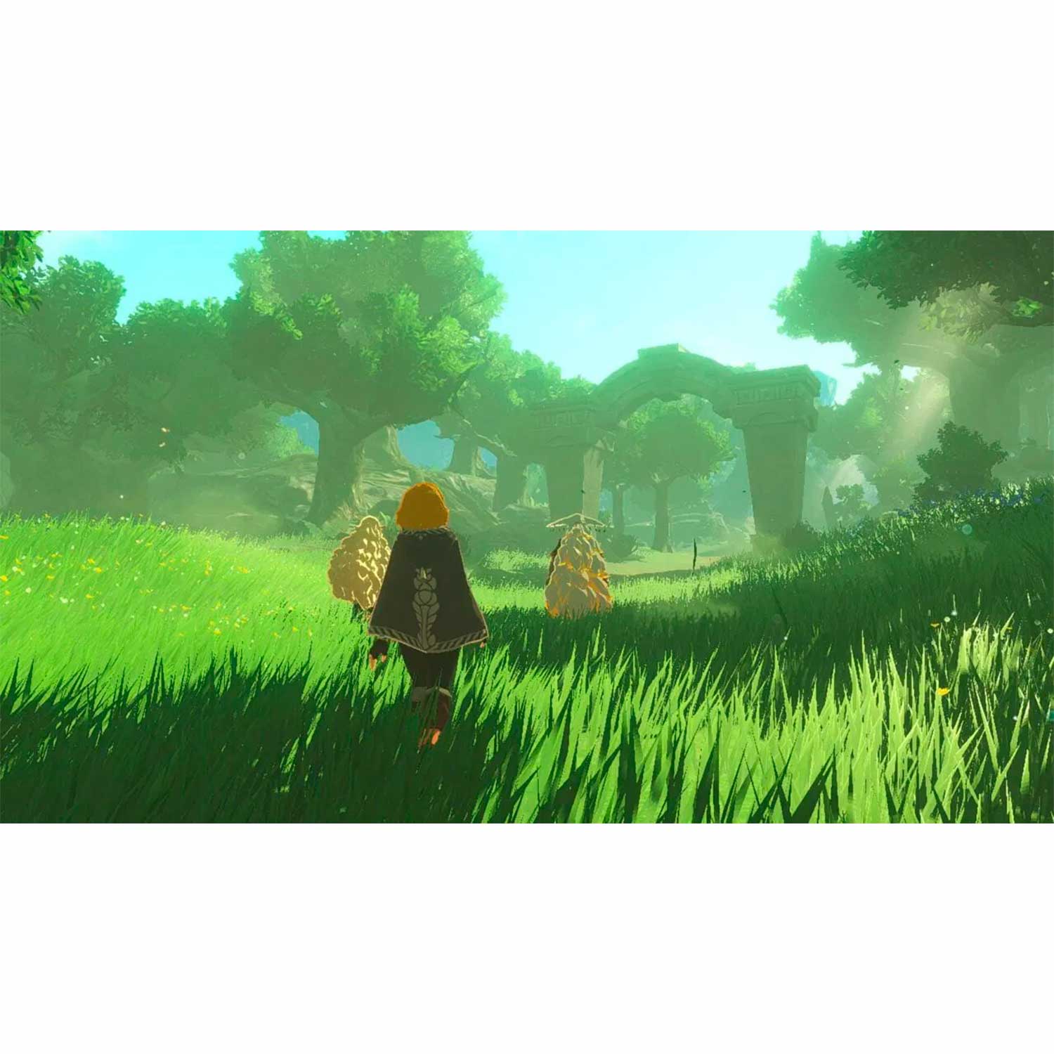 HYRULE WARRIORS AGE OF IMPRISONMENT NINTENDO SWITCH 2 LATAM - 2