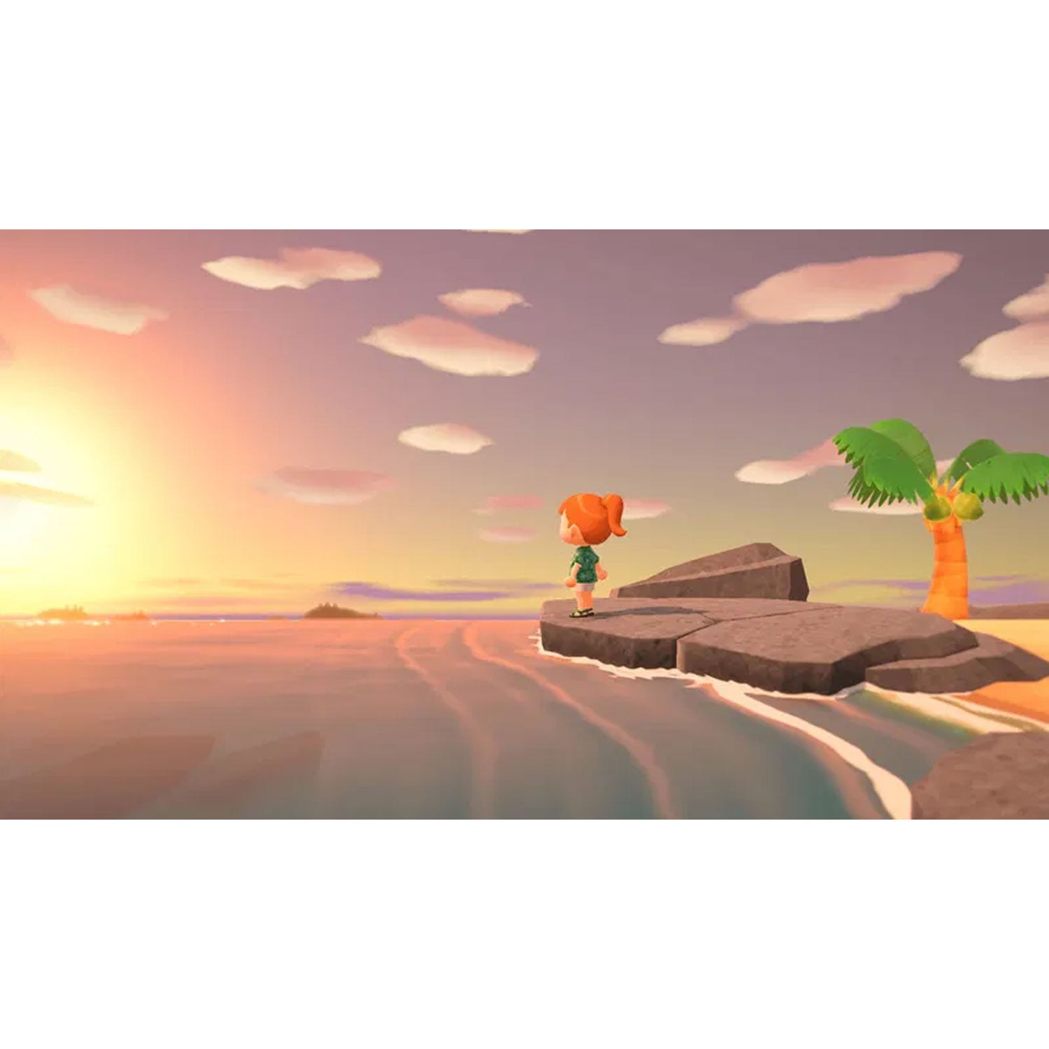 ANIMAL CROSSING NINTENDO SWITCH 2 EDITION LATAM - 5