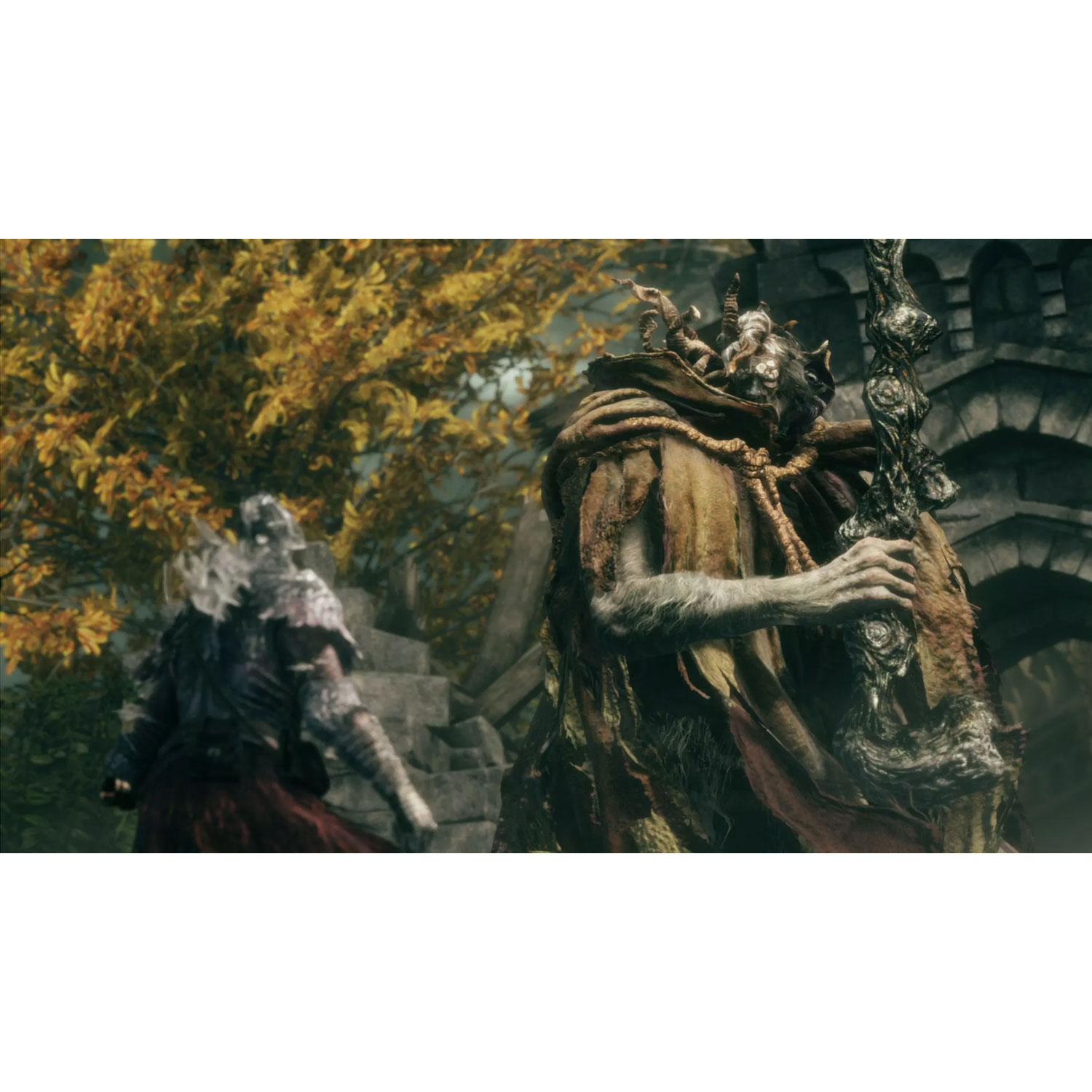 ELDEN RING TARNISHED EDITION NINTENDO SWITCH 2 LATAM - 2