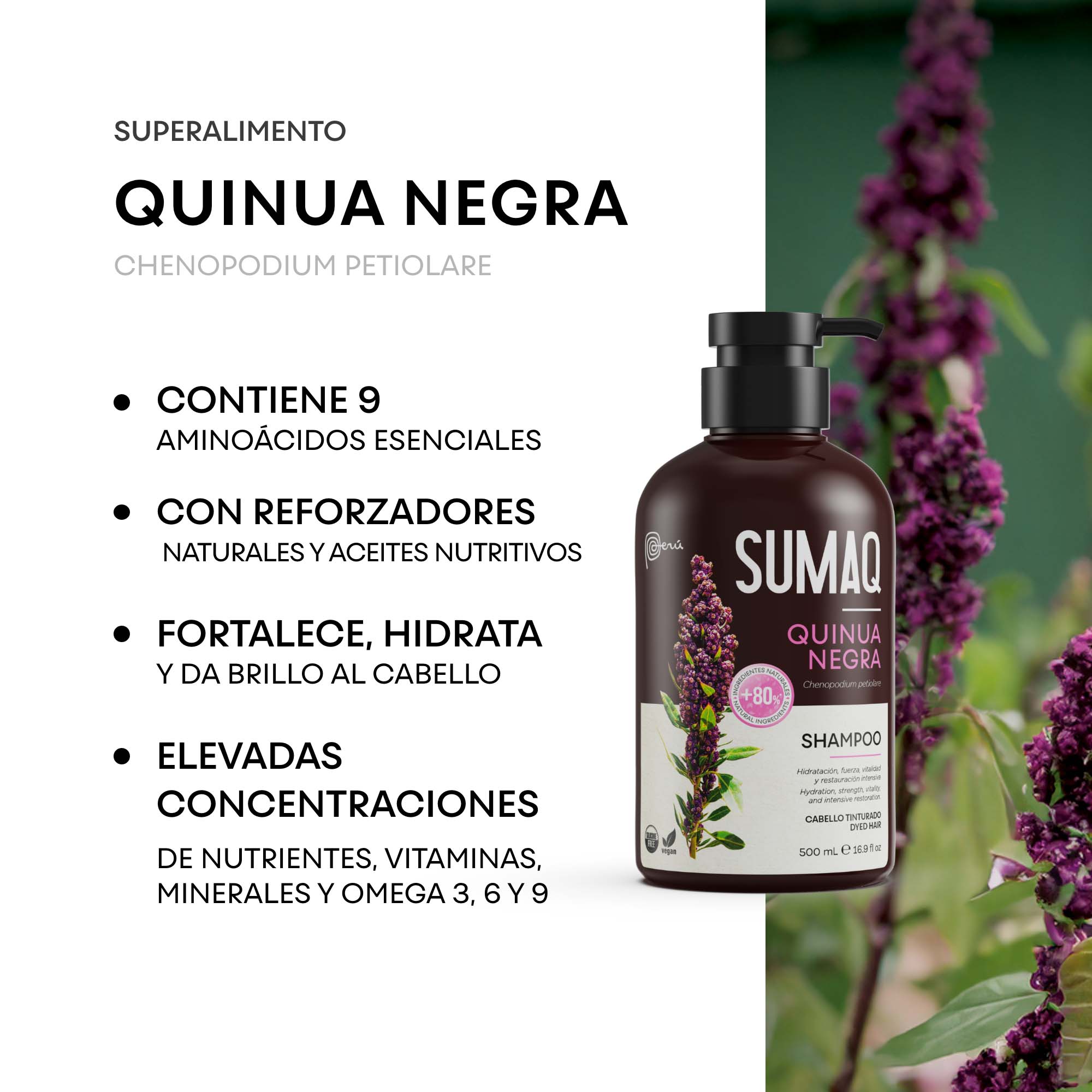 SHAMPOO SUMAQ QUINUA NEGRA X 500 ML - 4