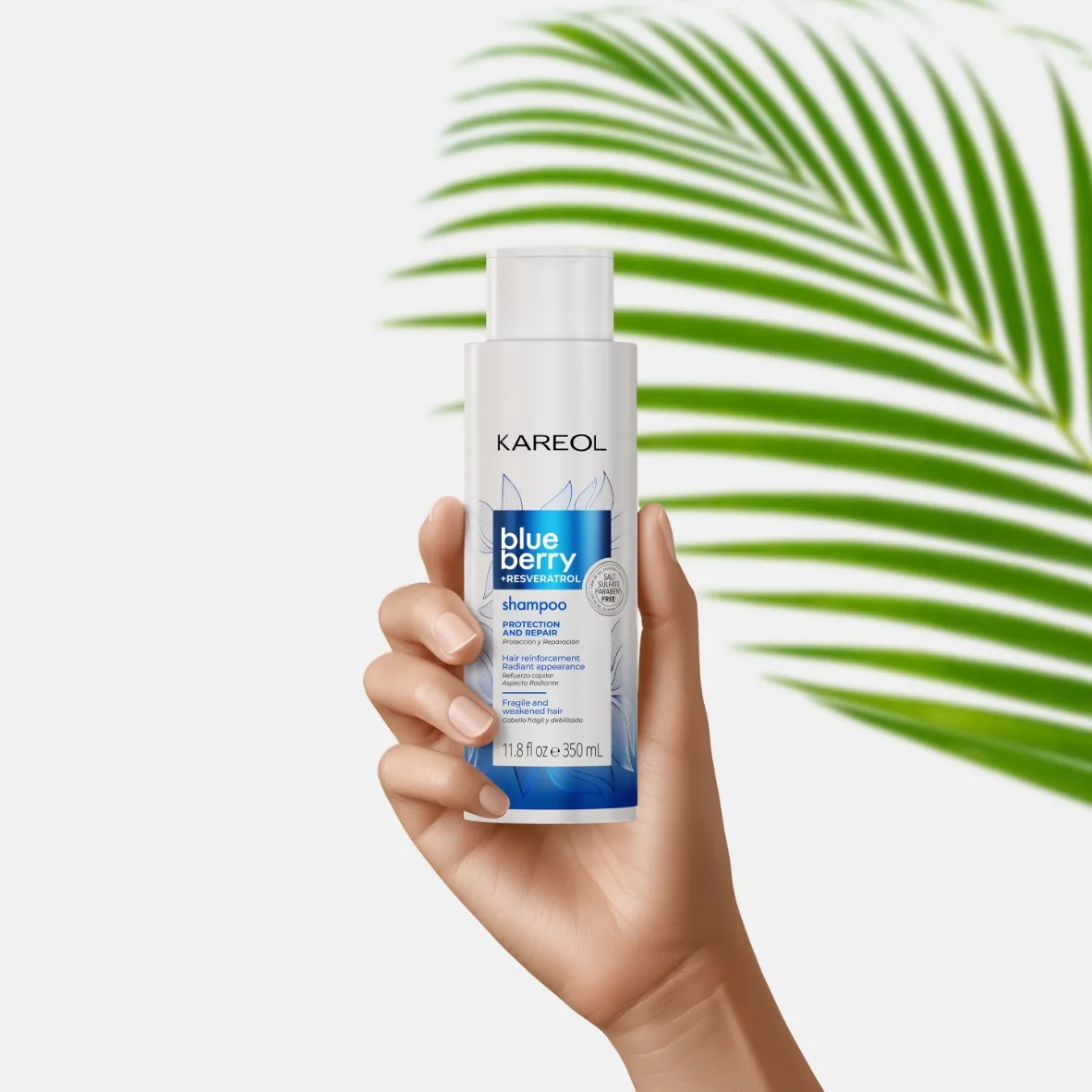 SHAMPOO KAREOL BLUEBERRY + RESVERATROL X 350 ML - 2