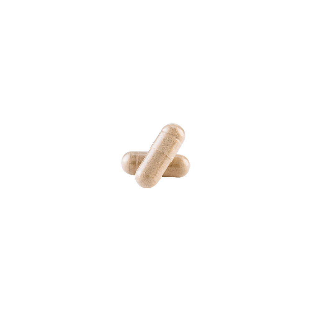 MELENA DE LEON - NUTRICOST - 90 CÁPSULAS - 4