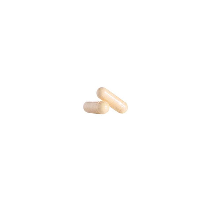 GINKGO BILOBA - XTRALIFE - 60 CÁPSULAS - 3