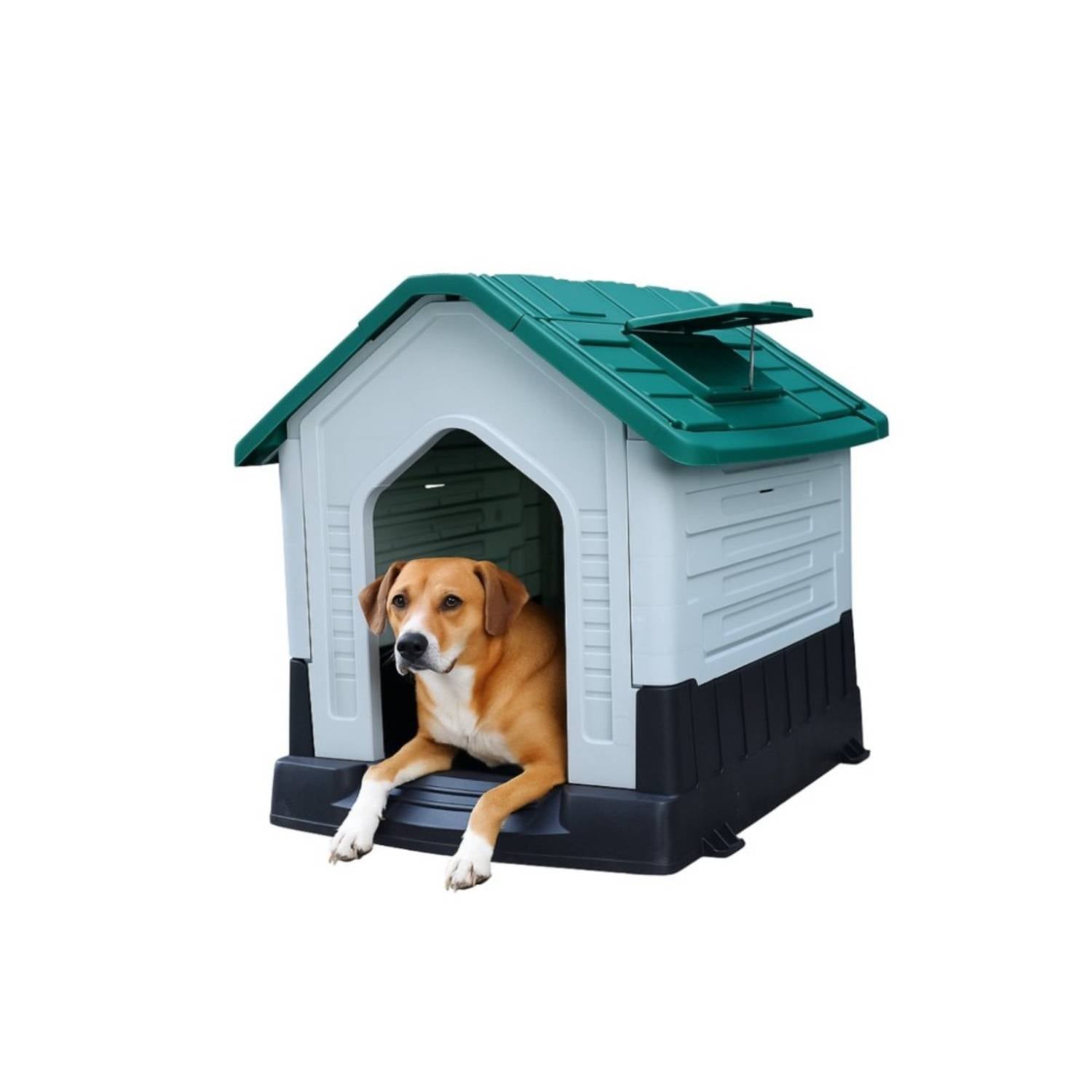 CASA DE PERRO PEQUEÑA COLOR VERDE COOL PETS - 5