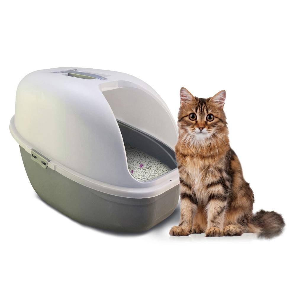 ARENERO PARA GATOS PORTÁTIL CON PALA - COOL CAT - 4