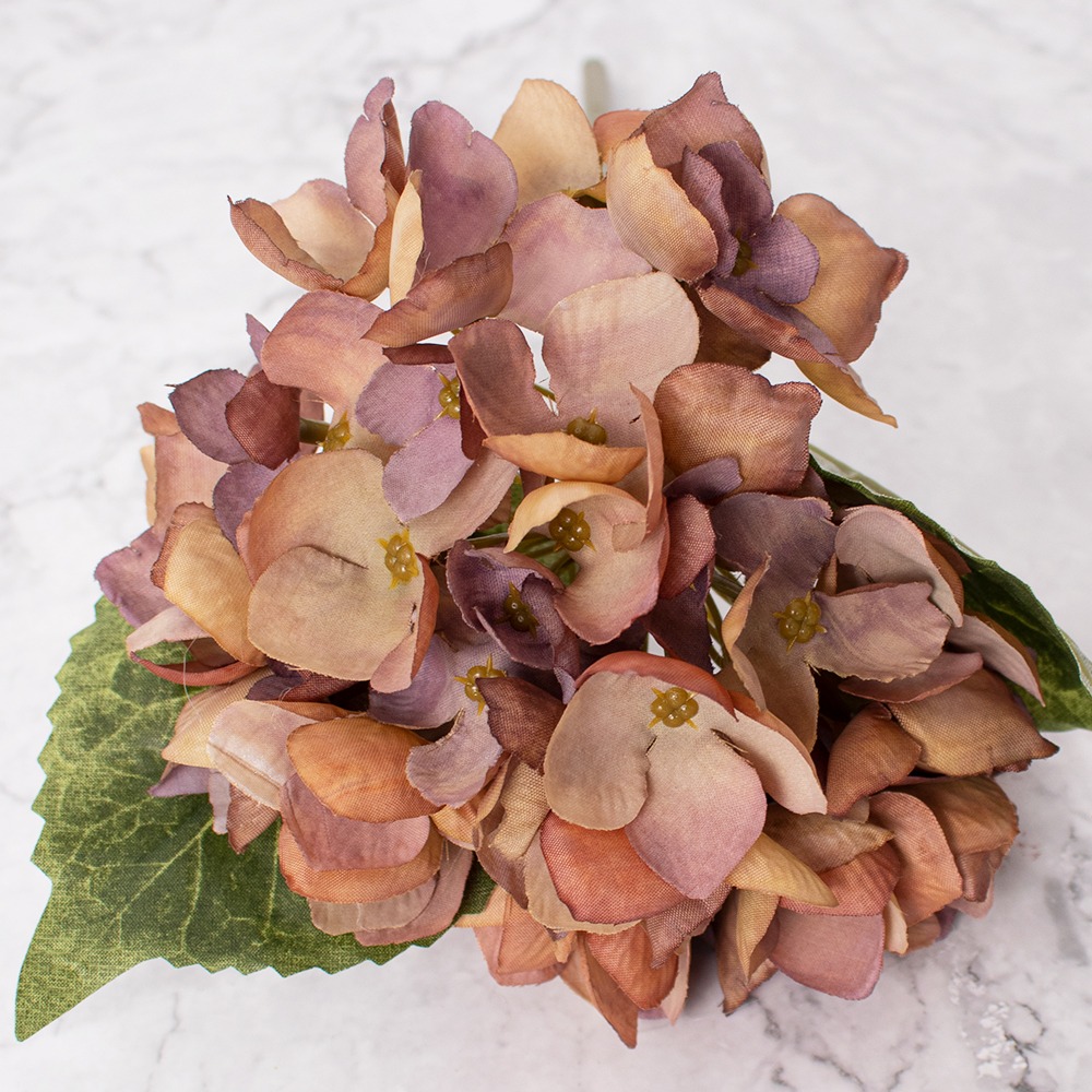 PACK DE 2 HORTENSIAS MARRÓN PANORAMA HOGAR - 2