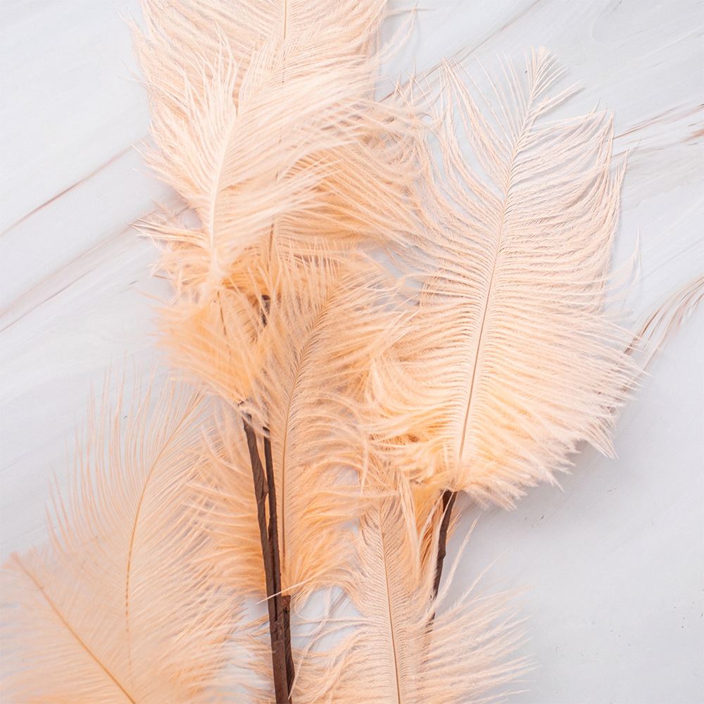 SETX2 PLUMAS BEIGE EN VARA 100CM PVC - 3