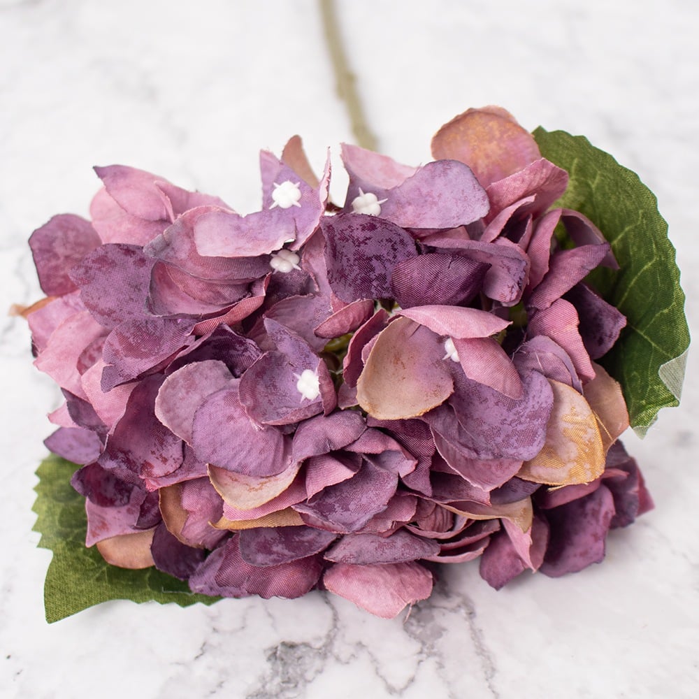 Hortensias Morado Panorama Hogar Pack De 4 - 2