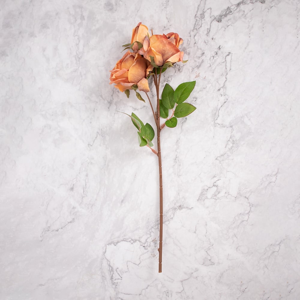 PACK DE 2 ROSAS NARANJA PANORAMA HOGAR - 1