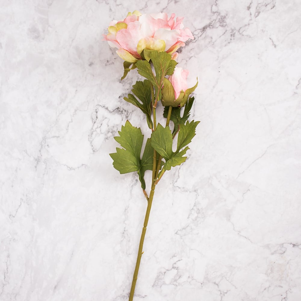 Peonías Rosa Panorama Hogar Pack De 4 - 1