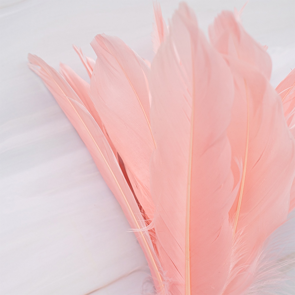 SETX2 PLUMAS ROSADAS EN VARA 72CM PVC - 3