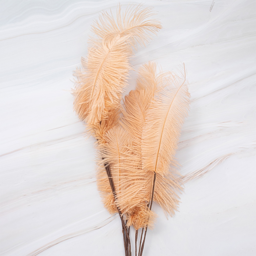 SETX2 PLUMAS BEIGE EN VARA PVC 100CM - 2