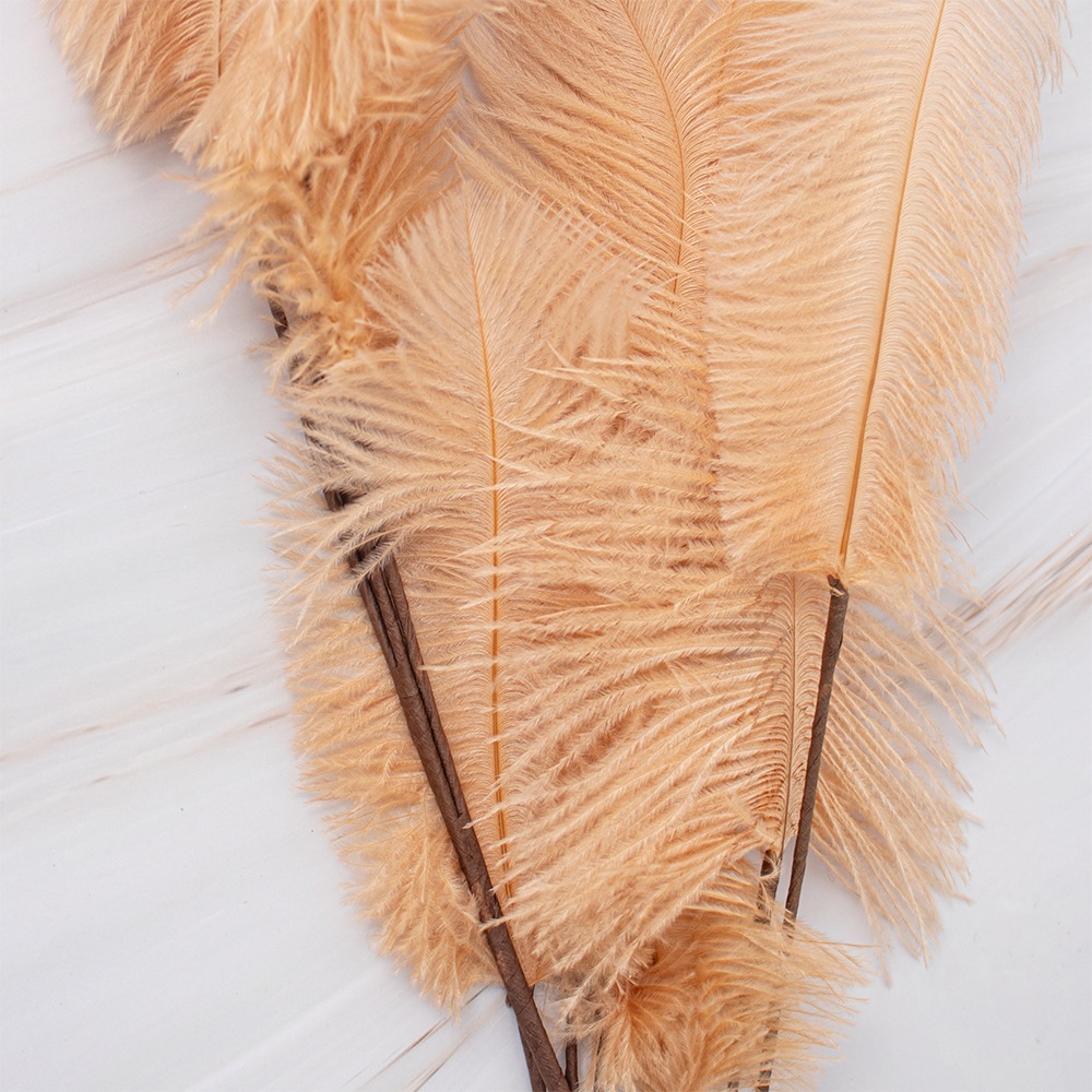 SETX2 PLUMAS BEIGE EN VARA PVC 100CM - 3