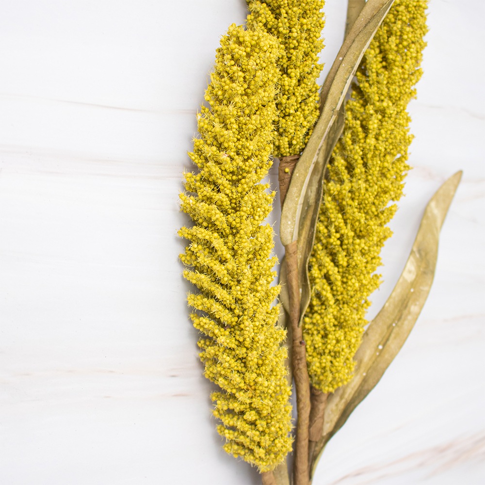 SETX2 TRIGO EN VARA AMARILLO PVC 80CM - 3