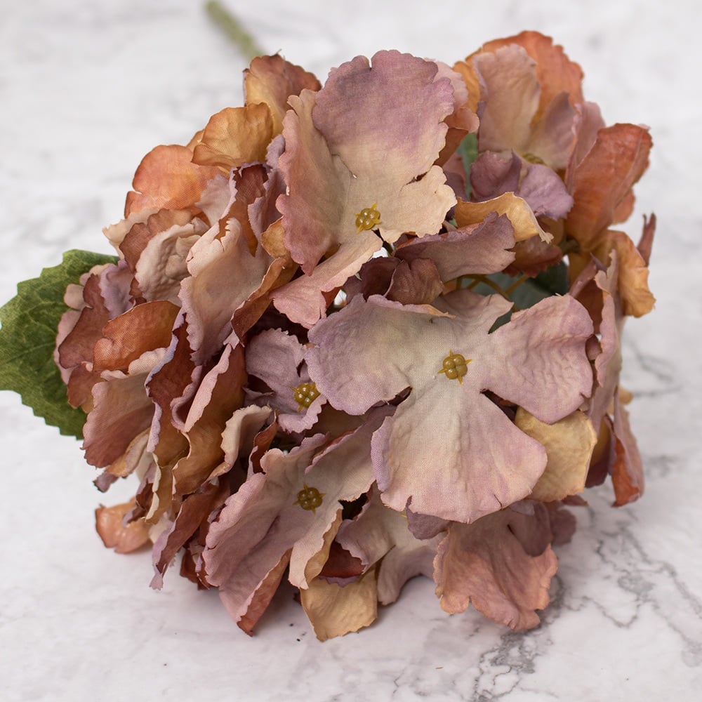 Hortensias En Vara Marrón Panorama Hogar Pack De 4 - 2