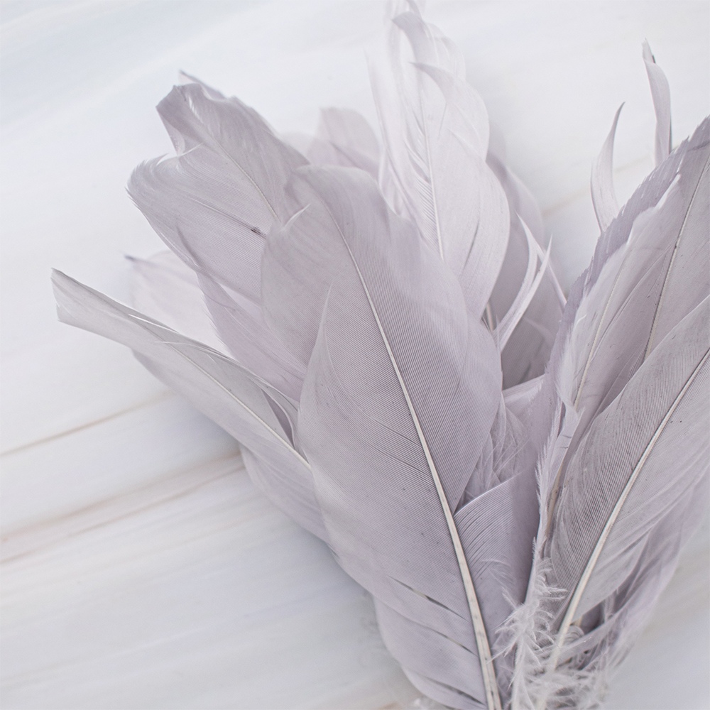 SETX2 PLUMAS GRIS EN VARA 72CM PVC - 3