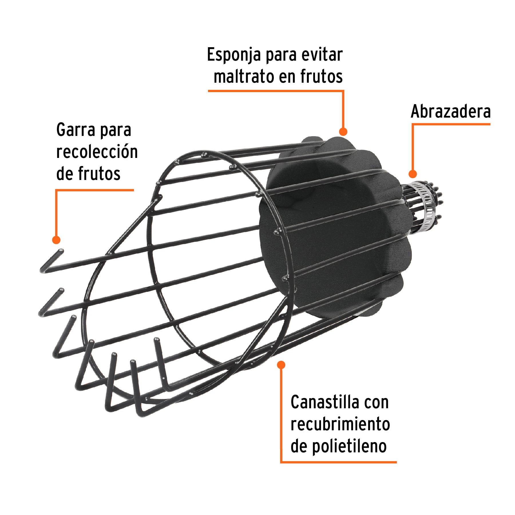 RECOLECTOR DE FRUTA TRUPER SIN MANGO - 3
