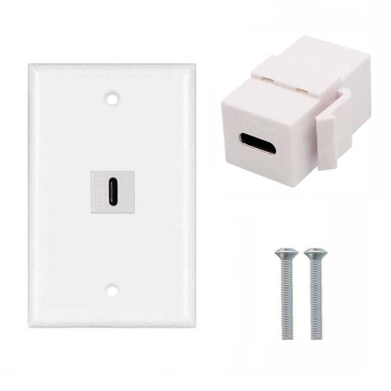 PLACA DE PARED ABS 1 PUERTO USB C TIPO C FACEPLATE HEMBRA A HEMBRA NETCOM SANTOFA ELECTRONICS S1966 - 1