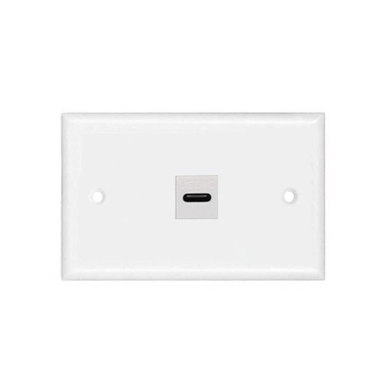 PLACA DE PARED ABS 1 PUERTO USB C TIPO C FACEPLATE HEMBRA A HEMBRA NETCOM SANTOFA ELECTRONICS S1966 - 4